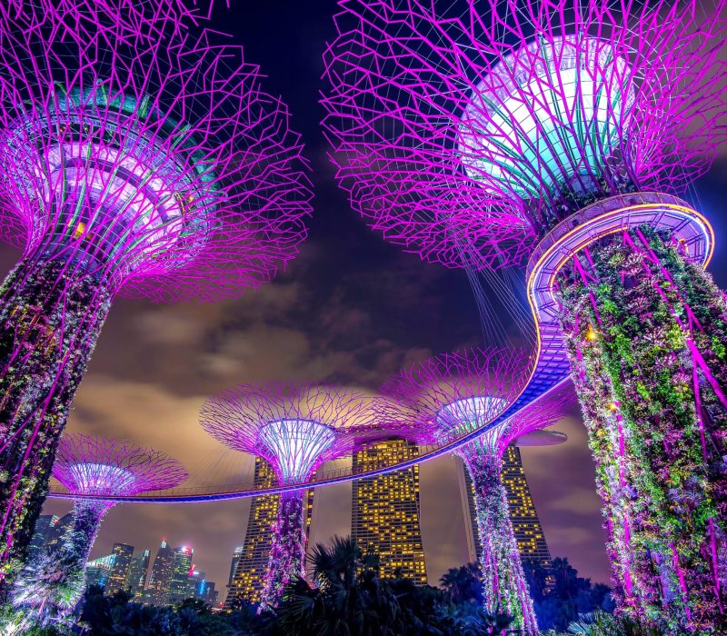 Singapore Tour Package